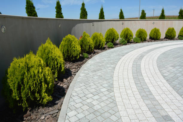 Best Professional Driveway Pavers  in Little Walnut Village, NM